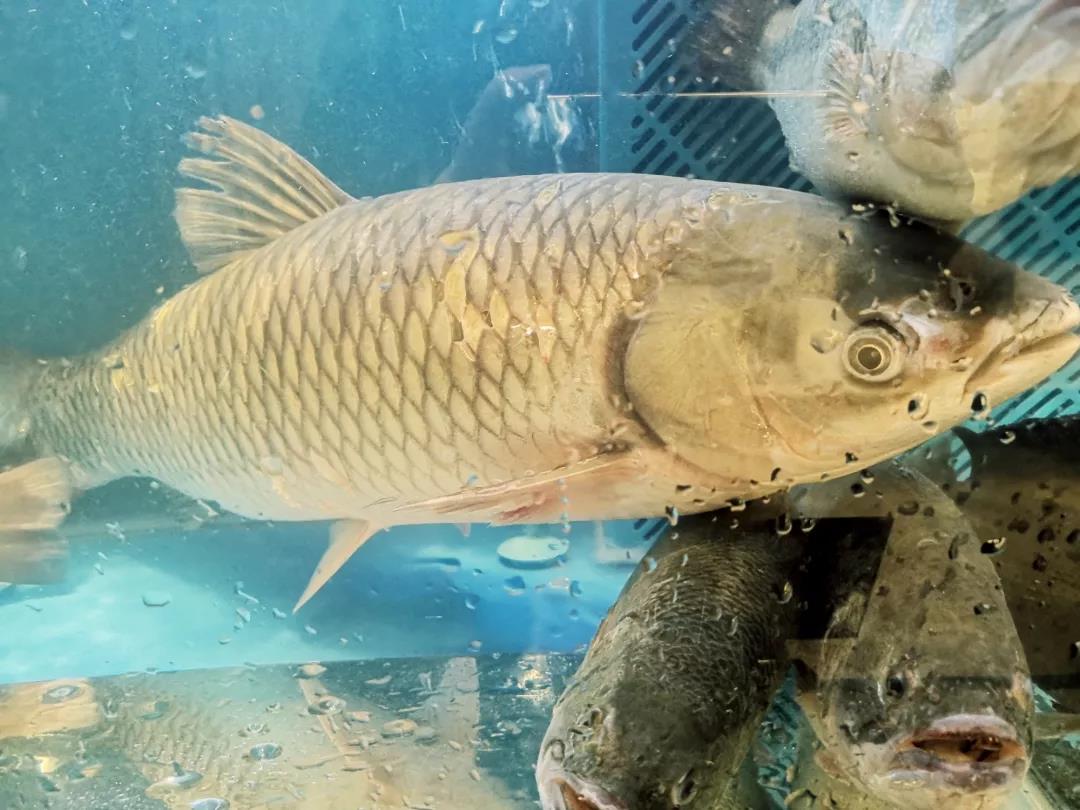 1542786513128066.jpg 微信图片_20181121153327.jpg