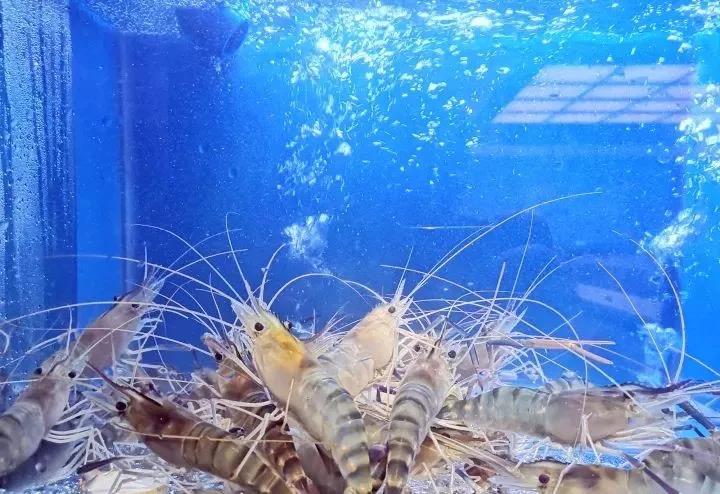 1542786524108332.jpg 微信图片_20181121153329.jpg