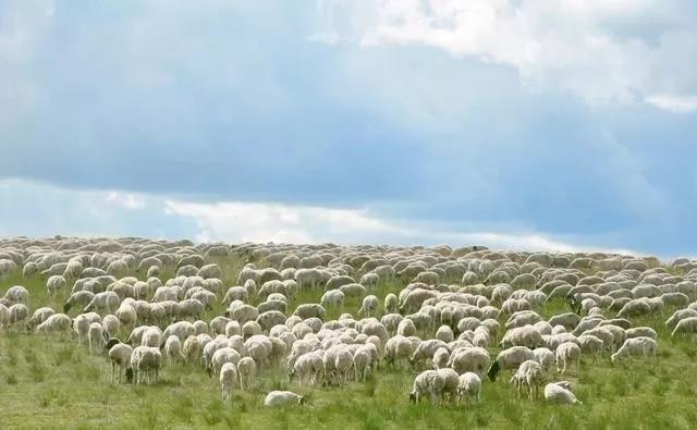 1542786818135911.jpg 微信图片_20181121153411.jpg