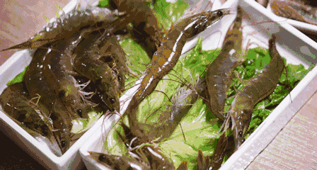 1542786869107217.gif 微信图片_20181121153426.gif