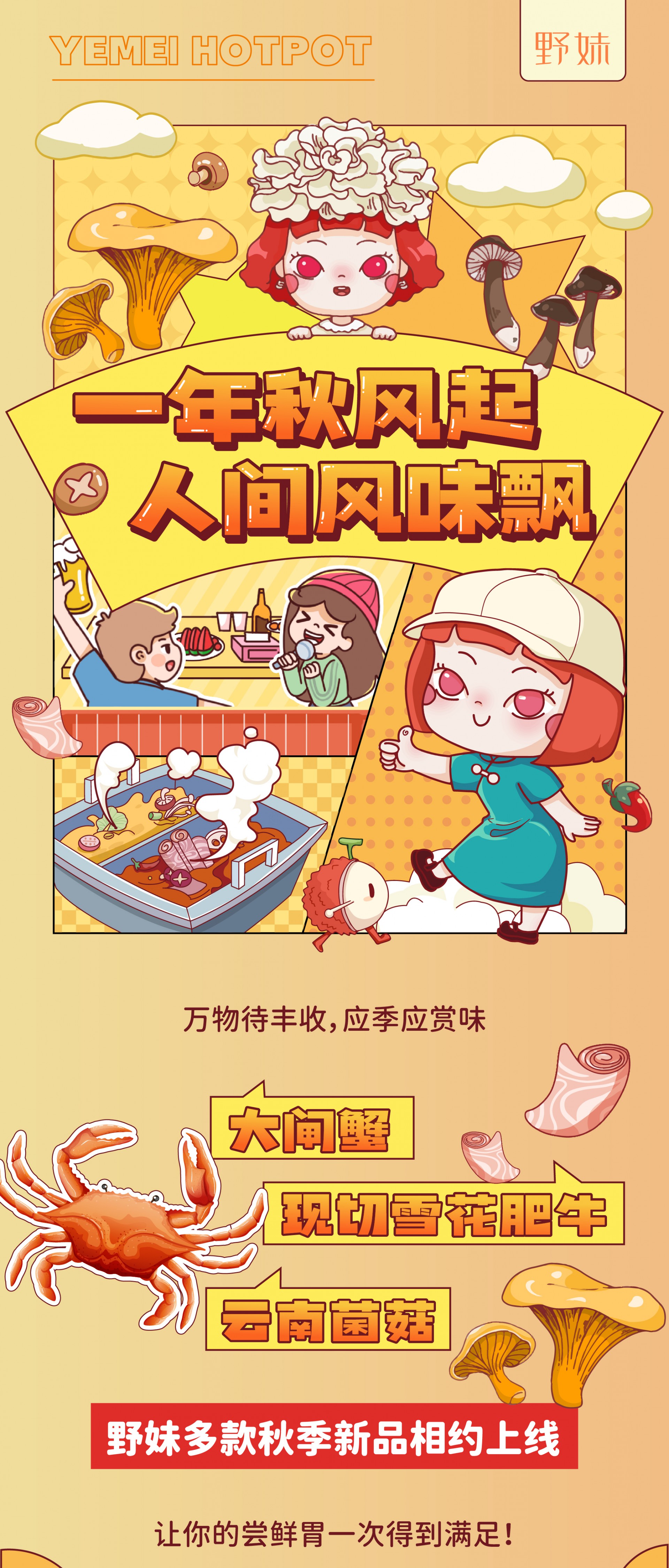 20240913秋季上新推文_画板 1.jpg